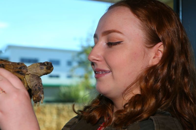 Other image for Creature comforts for students